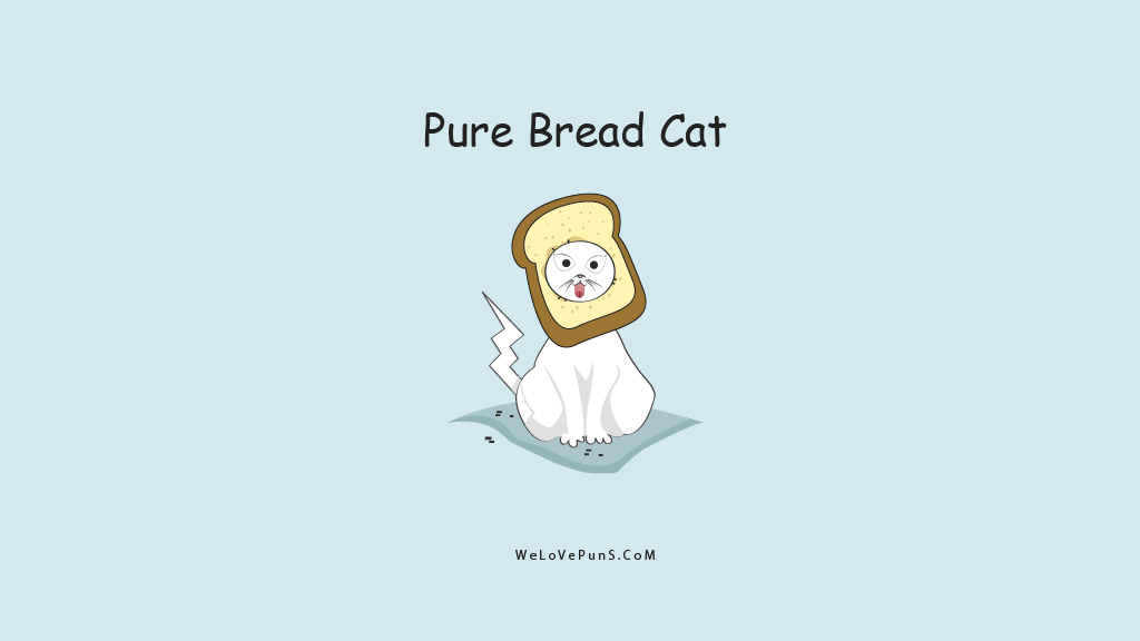 best cat puns