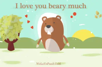 best bear puns