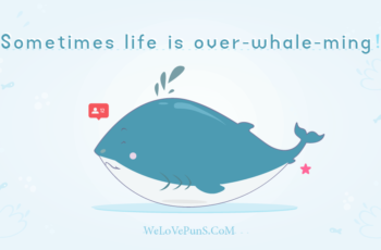 best whale puns