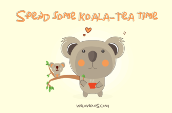 best koala puns