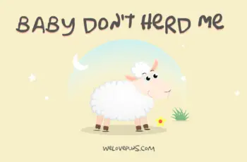best sheep puns