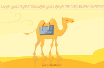 best camel puns