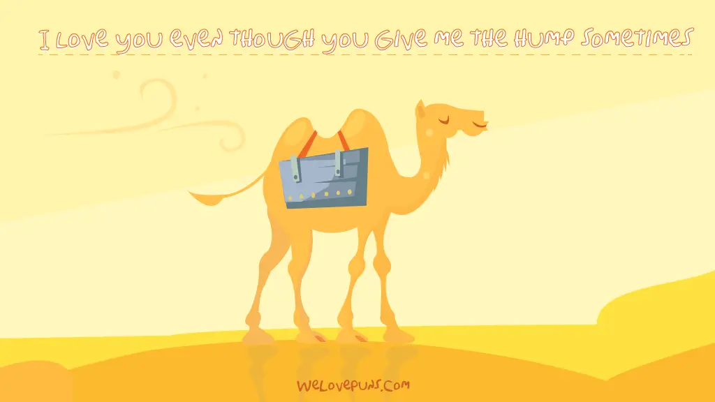 best camel puns