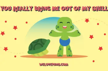 best turtle puns