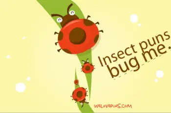 best bug puns