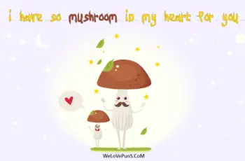best mushroom puns