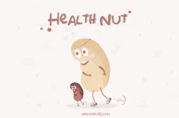 best nut puns