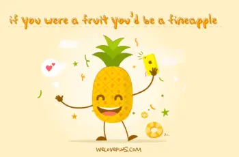 best pineapple puns