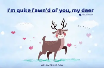 best deer puns