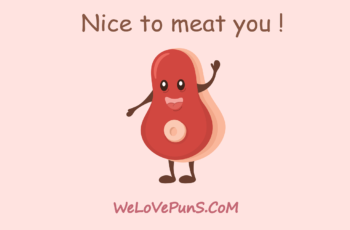 Best Meat Puns