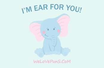 best elephant puns