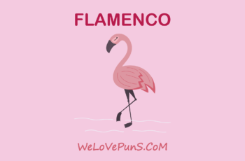 Best Flamingo Puns