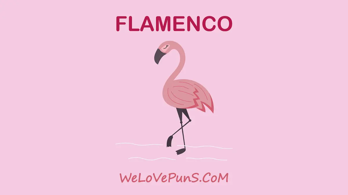 Best Flamingo Puns