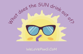 Best Sunglasses Puns