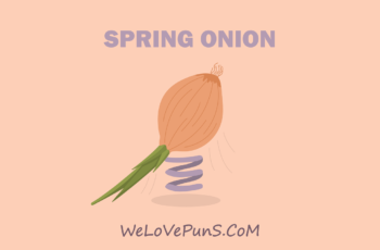 best onion puns