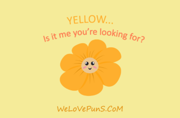 best yellow puns